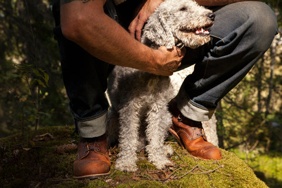 Red Wing 3343 Blacksmith Copper Rough & Tough EE Wide Fit Boots